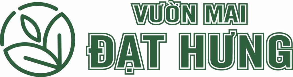 Vườn Mai Đạt Hưng